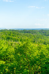 Erste Schritte auf dem Rennsteig zwischen Hörschel und Blankenstein im schönen Frühling - Thüringen - Deutschland