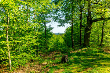 Erste Schritte auf dem Rennsteig zwischen Hörschel und Blankenstein im schönen Frühling - Thüringen - Deutschland