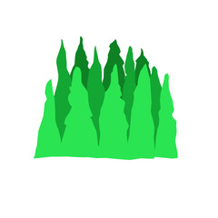 Forest background, nature, landscape