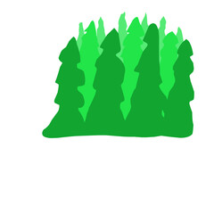 Obraz premium Forest background, nature, landscape