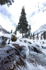Forest and mountain in Winter Season. The snow-covered fields. Awesome Beautiful tourism winter vacation background