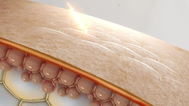 3 The skin protection and anti-wrinkle properties of serum or lotion are necessary for 3d skin care products.