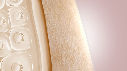 3 The skin protection and anti-wrinkle properties of serum or lotion are necessary for 3d skin care products.