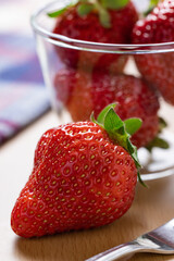 イチゴ（Fragaria）