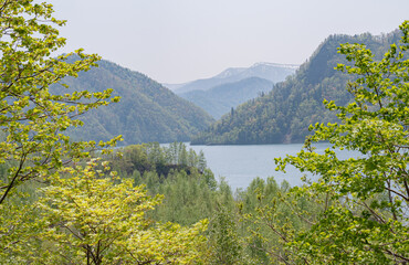 Fototapeta na wymiar さっぽろ湖 / Lake Sapporo