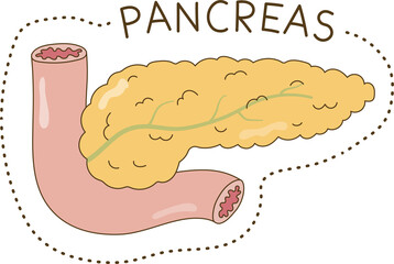 Human Organs Doodle Style in Color