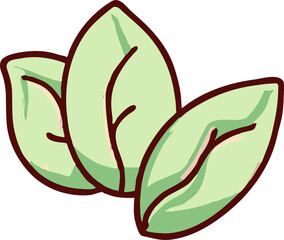 Green tea leaves png graphic clipart design