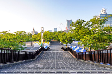 イベント開催日の早朝　代々木公園ケヤキ並木