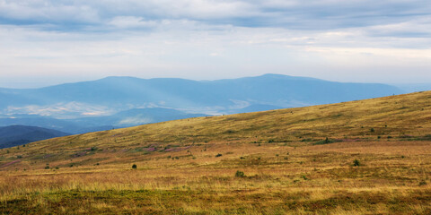 grassy meadow landscape of ukrainian mountains. nature scenery in late summer