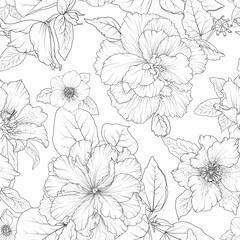 Spring flowers seamless floral pattern. Line art garden plants buttercup, anemones, hibiscus black on white background. Vector vintage illustration. For wrapping, fabric, fashion, paper, textile. - 603301628
