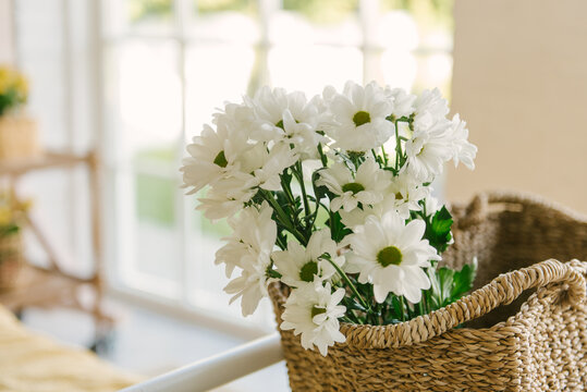 Chamomile flowers. Bouquet of white daisies in wicker basket.
