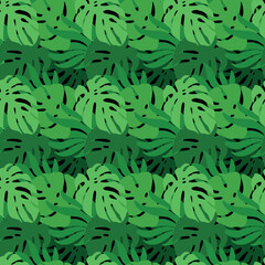 Naklejka na ściany i meble Leaves of the monstera. Exotic print. Seamless pattern. Vector.