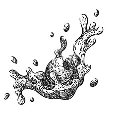 oline oil splash hand drawn. food olive, natural branch, green plant, mediterranean fresh, leaf leaves oline oil splash vector sketch. isolated black illustration