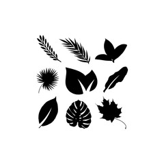 leaf nature illustration set creative design