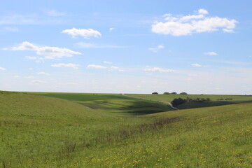 field and blue sky