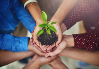 Hands, plant and growth from above with people holding a pile of earth for the sustainability of...