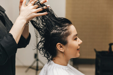 Fototapeta premium The hairdresser applies the gel on the hair of a woman in a beauty salon.