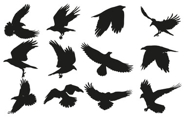 Set of Common Raven Silhouettes