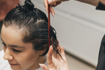 Naklejka premium hairdresser makes a haircut to a woman in the salon. The hairdresser cuts wet hair, combing with a comb. client with short hair. back view