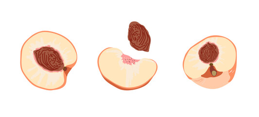Peach halves .For fabrics, for printing brochures, posters, parties, vintage textile design, postcards, packaging
