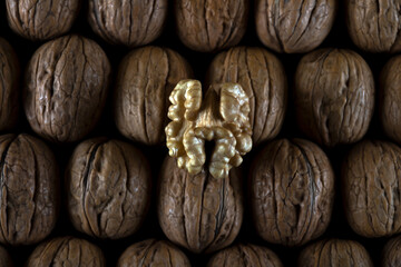 One peeled walnut, on the shelled walnut group