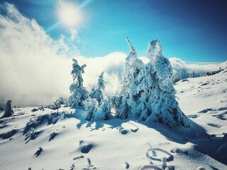 Babia Góra zimą - obrazy, fototapety, plakaty