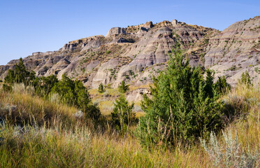 Fototapeta na wymiar Rugged Landscape at Makoshika State Park