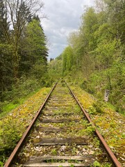 Obraz premium railway in the forest