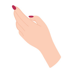 Beautiful female hand reaches up for something. Elegant arm with wrist and fingers of white woman. Palm back perspective. Non-verbal gesture. Delicate illustration in flat style. Simple clipart.