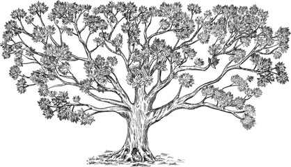 Beautiful family tree with many elements. Large detailed vector illustration isolated on white. Usage: genus tree, background, design.