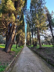 2023.03.18 Tivoli, Hadrian's Villa, UNESCO World Heritage on the outskirts of Rome, 
evocative image of the ruins of the villa that belonged to Emperor Hadrian (II AD)