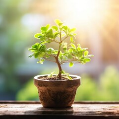 Small Tree Growing with Sunshine in Garden Eco. Generative AI