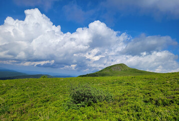 Krajobraz wiosenny w zielonych górach Bieszczady,
Tło naturalne.