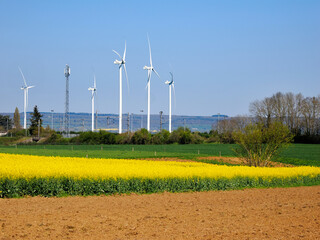 Wind turbine in rapeseed season (Brassica napus) in spring in the Sarthe department in France