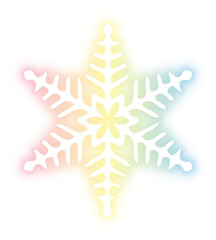 Collection of snowflake neon
