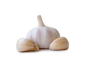 Single fresh white garlic bulb with segments isolated on white background with clipping path and shadow in png file format, 