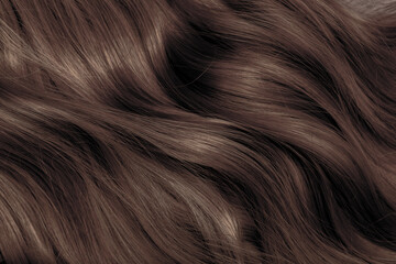 Brown hair close-up as a background. Women's long brown hair. Beautifully styled wavy shiny curls....