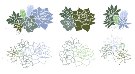 Cacti and succulents. Set of vector illustrations. Line art.