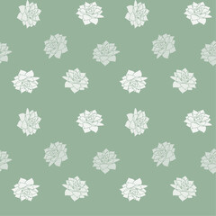 Cacti and succulents. Seamless vector pattern