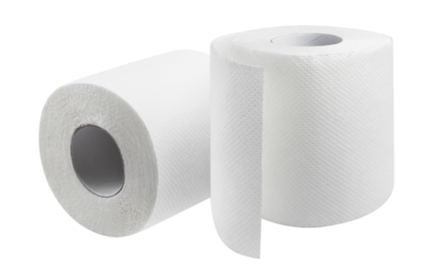 Toilet paper rolls cut out