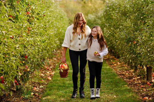 Happy school girl and beautiful mother with red apples in organic orchard. Happy woman and kid daughter picking ripe fruits from trees and having fun in garden. Harvest season for family.