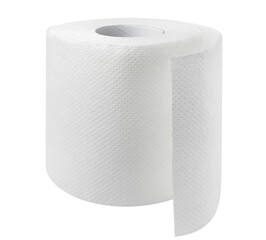 Toilet paper roll cut out