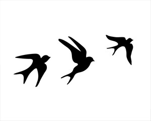 silhouettes of birds