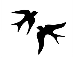 silhouette of a swallov birds