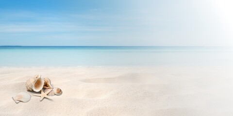 Fototapeta na wymiar Wide Panorama Coastal Scene: Beautiful Banner, White Sand and shells. Copy space