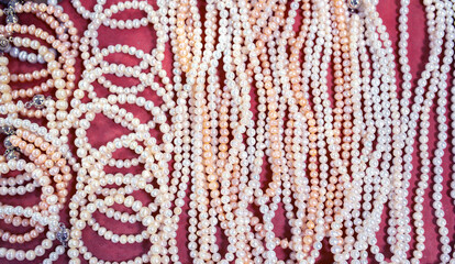 Natural sea pearls. A bunch of pearls on a red background, pearl strands close-up.