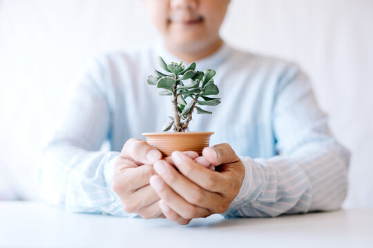 The hand of a young man holding a green tree that envelops the earth. concept of loving the earth and preserving the environment