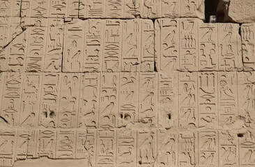 Fototapeta na wymiar Ancient egyptian carvings and hyroglyphs at Karnak temple in Luxor, Egypt 