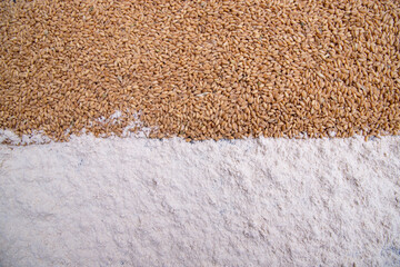 wheat grains and wheat flower   brown atta pattern Texture can be used as a Background wallpaper