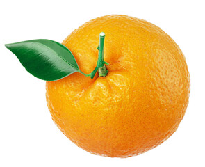 Orange fruit with orange leaves isolated. Png transparency